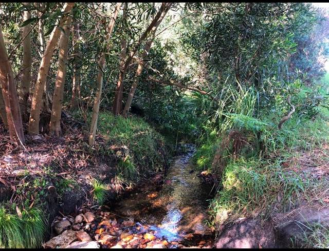 FARM FOR SALE IN BAARDSKEERDERSBOS